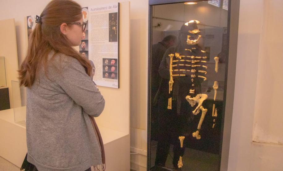 Projeto do Paraná que aplica IA em museus universitários é finalista em prêmio nacional