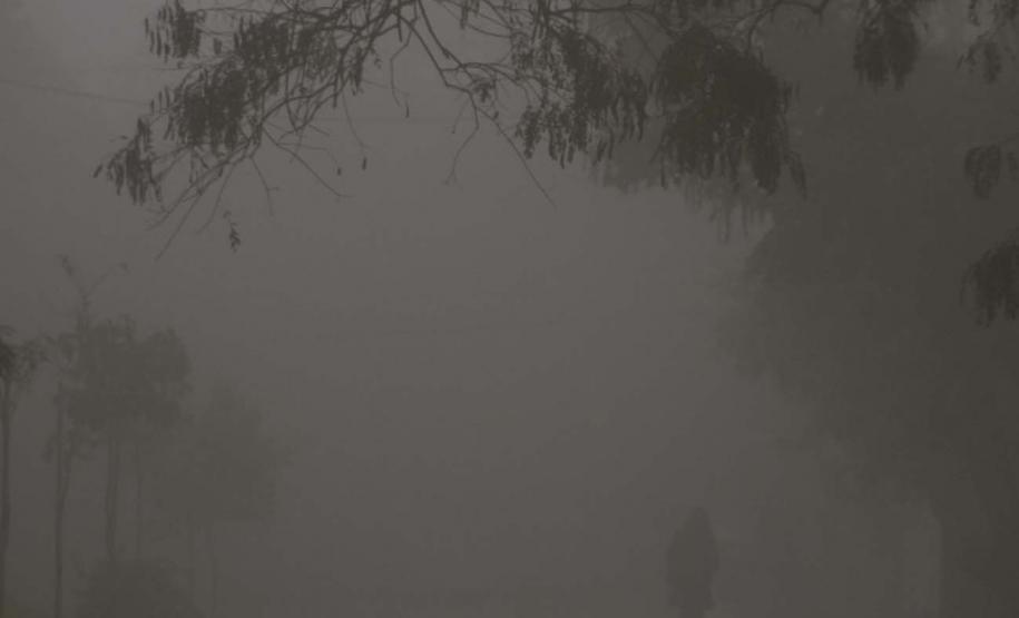 Strauss na OSP, férias nos museus e Dia Mundial do Rock movimentam a agenda cultural