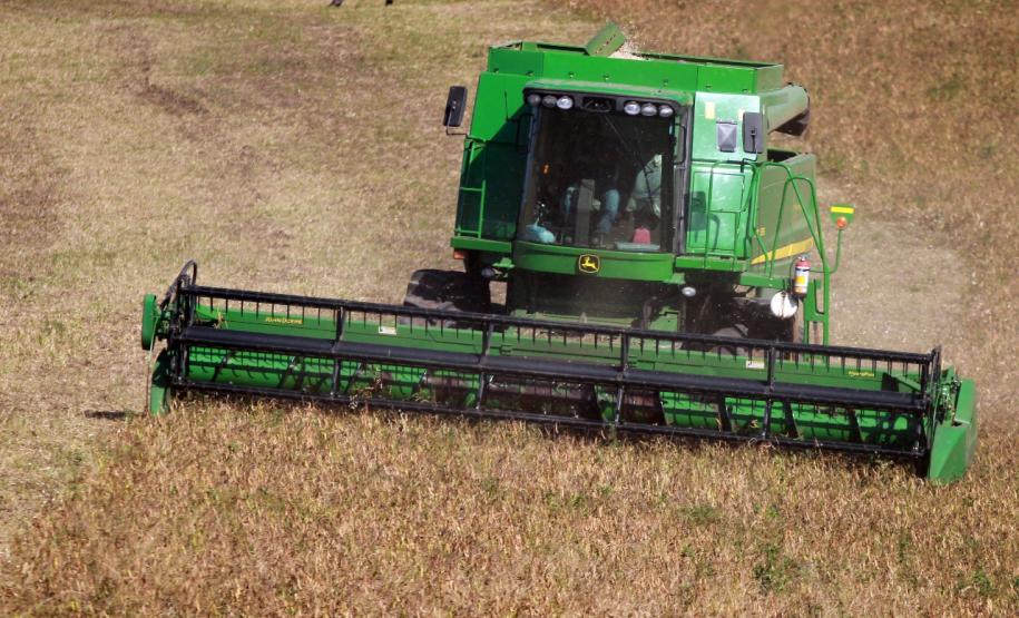 Paraná confirma novo recorde e liderança nacional na produção de feijão: 865 mil toneladas