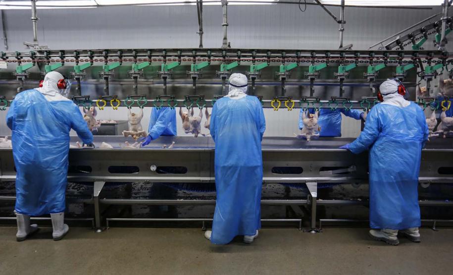 Paraná lidera geração de empregos pela rede Sine no primeiro semestre