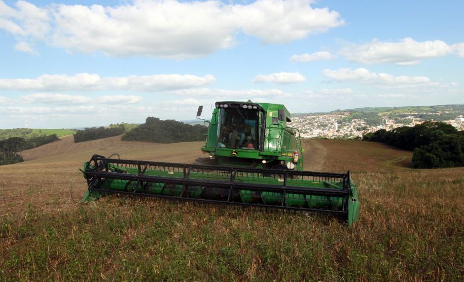 Paraná confirma novo recorde e liderança nacional na produção de feijão: 865 mil toneladas
