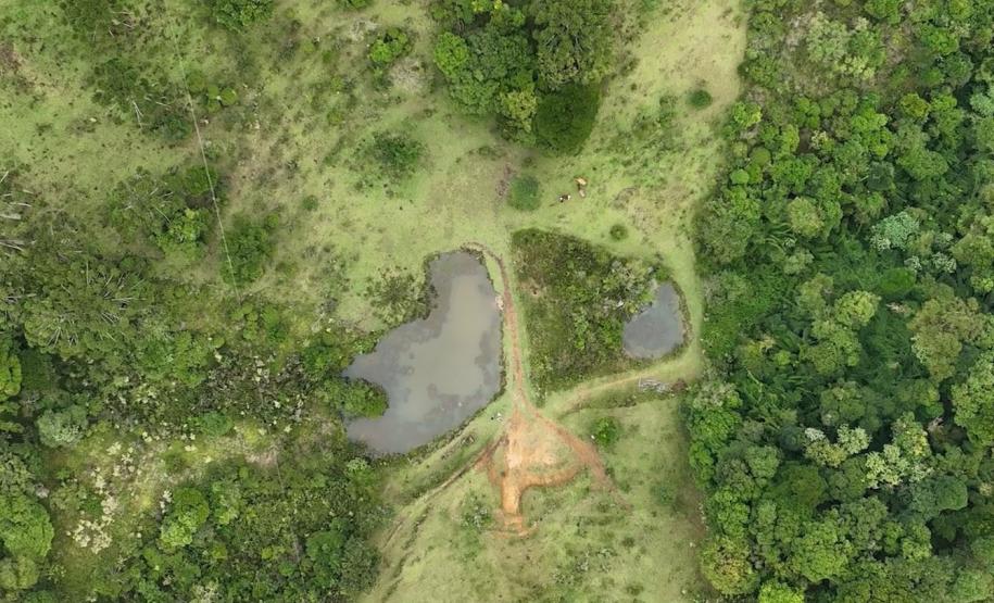 Paraná tem projeto de proteção de microbacias no campo para garantir segurança hídrica