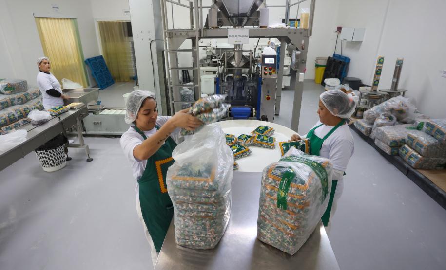 Indústria na frente: Agências do Trabalhador do Paraná têm 23,7 mil vagas de emprego abertas