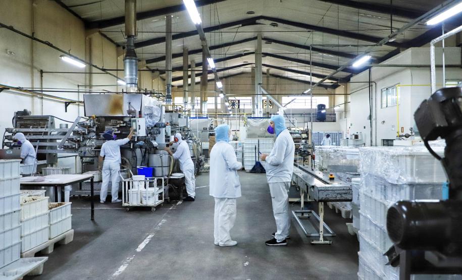 Mais de 100 mil empregados: Paraná é líder no 1º semestre nas contratações via Rede Sine