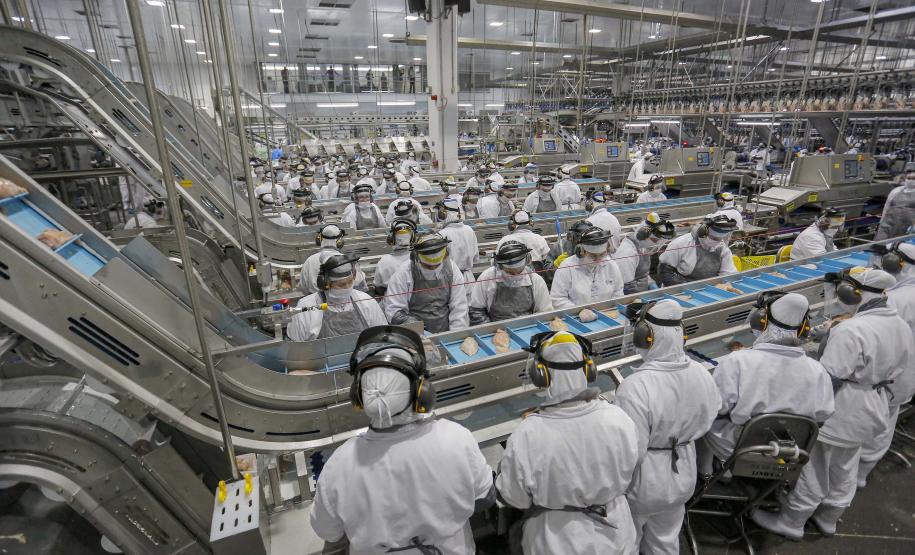 Indústria na frente: Agências do Trabalhador do Paraná têm 23,7 mil vagas de emprego abertas