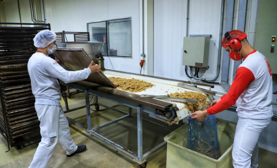 Mutirão da Juventude vai oferecer mais de 800 vagas em Curitiba no dia 13 de agosto