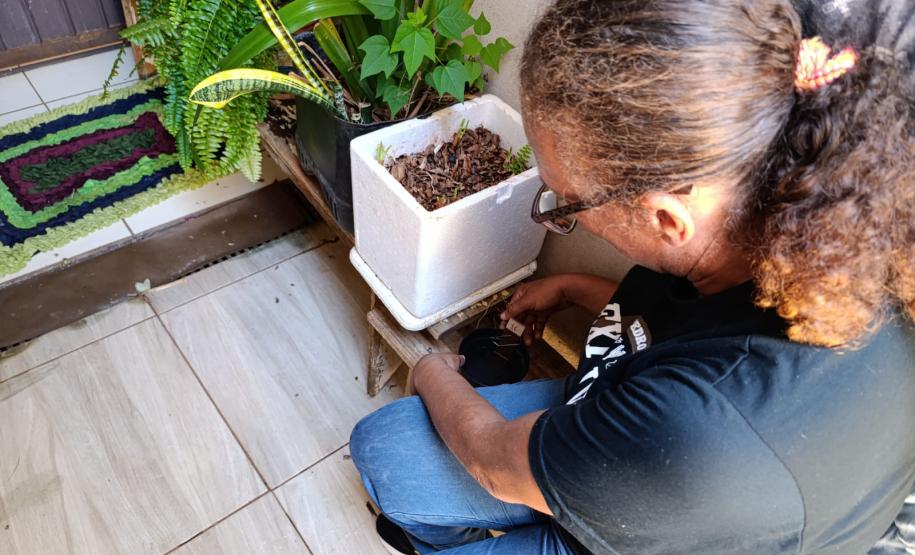 Paraná tem queda de 85% nos casos de dengue em 2025, aponta Secretaria da Saúde