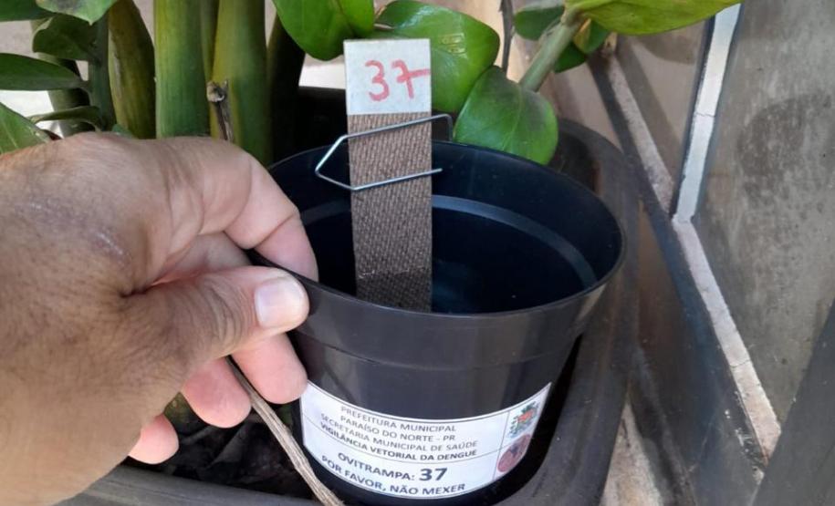 Paraná tem queda de 85% nos casos de dengue em 2025, aponta Secretaria da Saúde