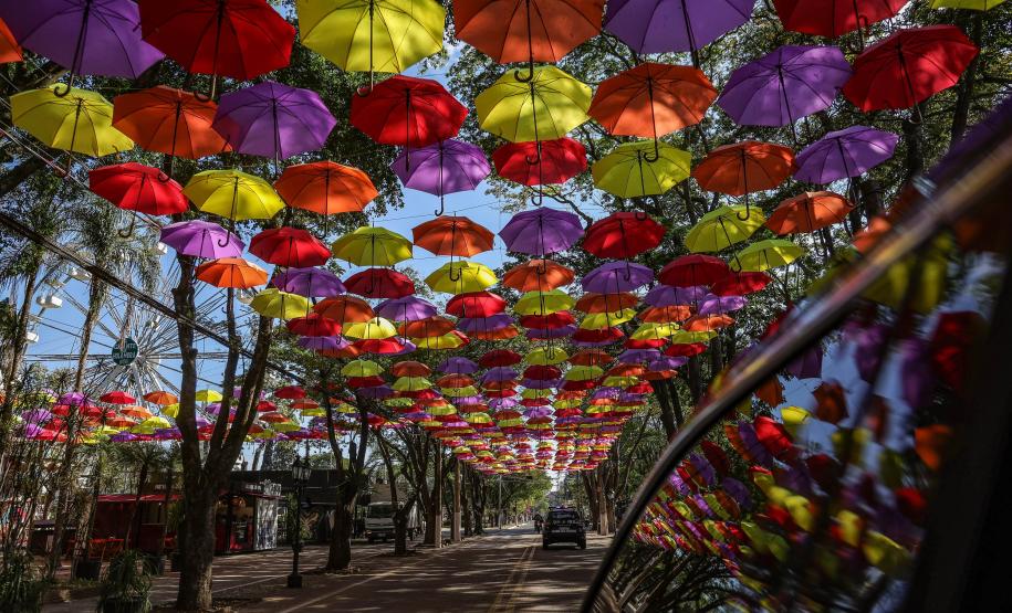 Ratinho Junior compartilha projetos de sucesso da educação no Conexidades