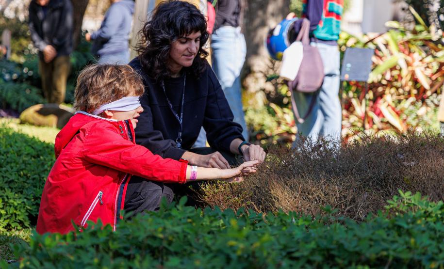 Exposição de Calderari, shows de humor e oficinas nos museus agitam a agenda cultural