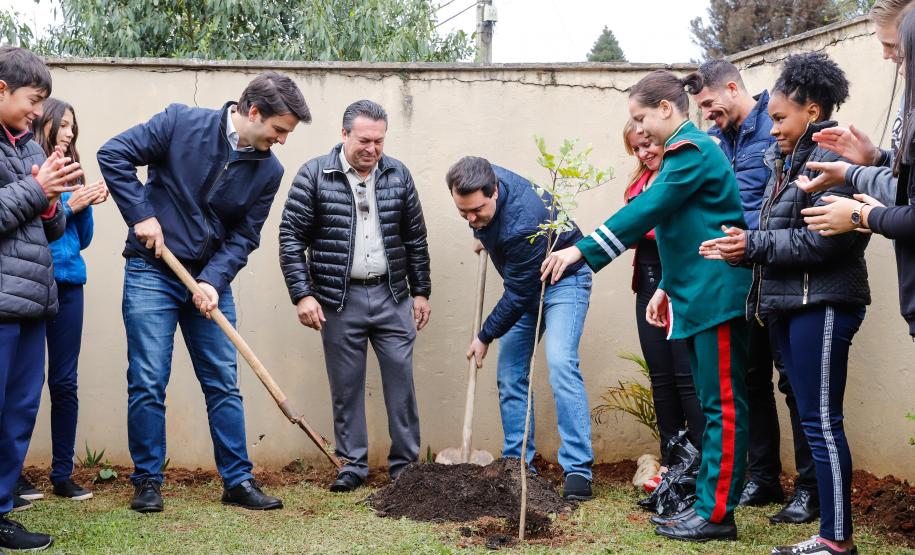 Paraná é líder nacional em áreas verdes nas escolas; número de quadras esportivas bate recorde