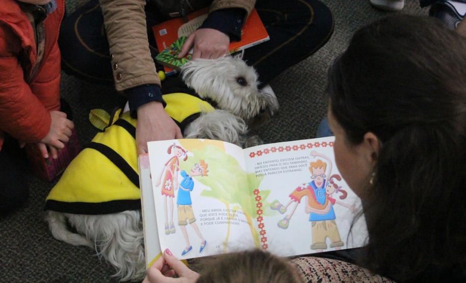 Exposição de Calderari, shows de humor e oficinas nos museus agitam a agenda cultural