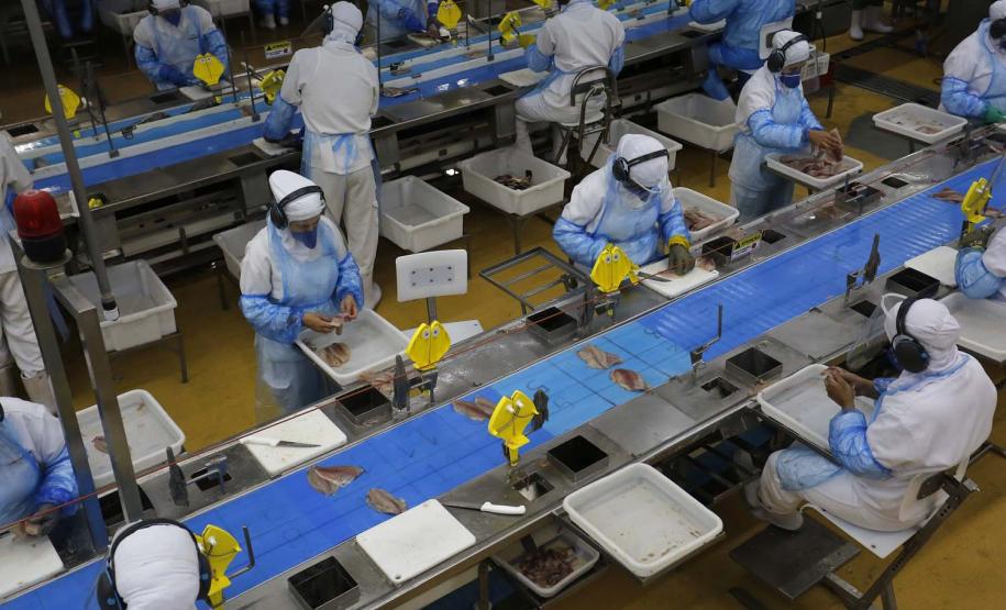 Agências do Trabalhador do Paraná têm 26,2 mil oportunidades de emprego