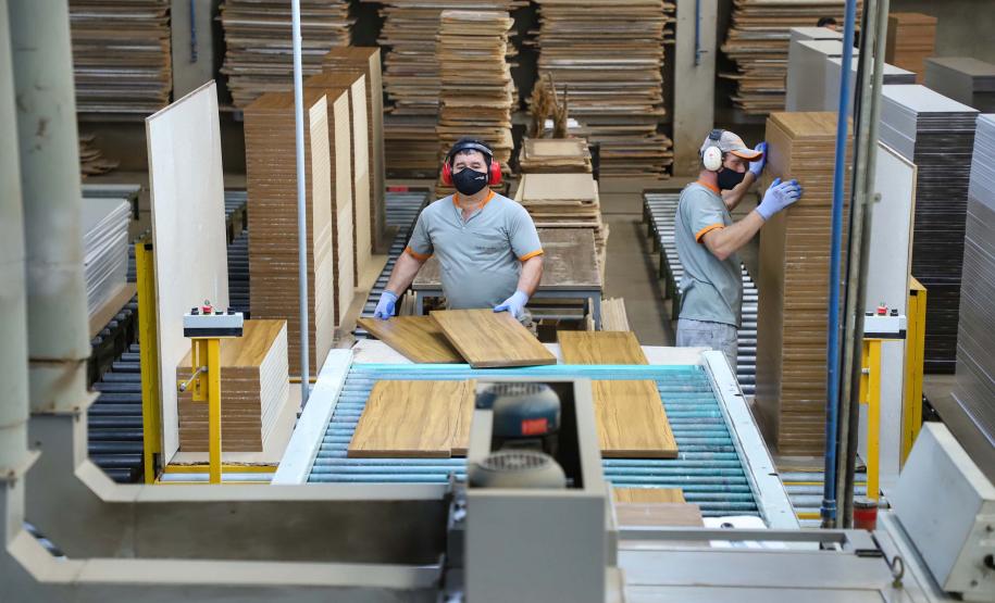 Com alta de 20,7%, Paraná consolida vice-liderança no valor da produção florestal