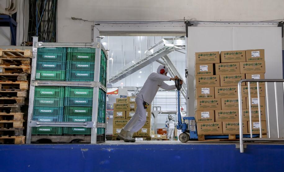 Agências do Trabalhador do Paraná têm 26,2 mil oportunidades de emprego