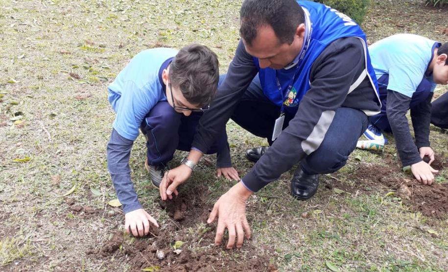 Paraná é líder nacional em áreas verdes nas escolas; número de quadras esportivas bate recorde