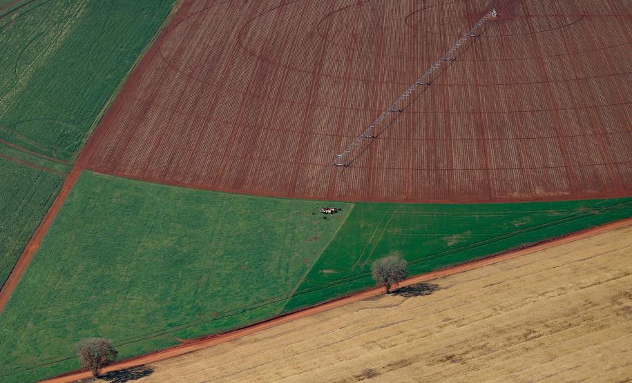 PIB do Paraná cresce acima de países da Europa no 1º semestre do ano