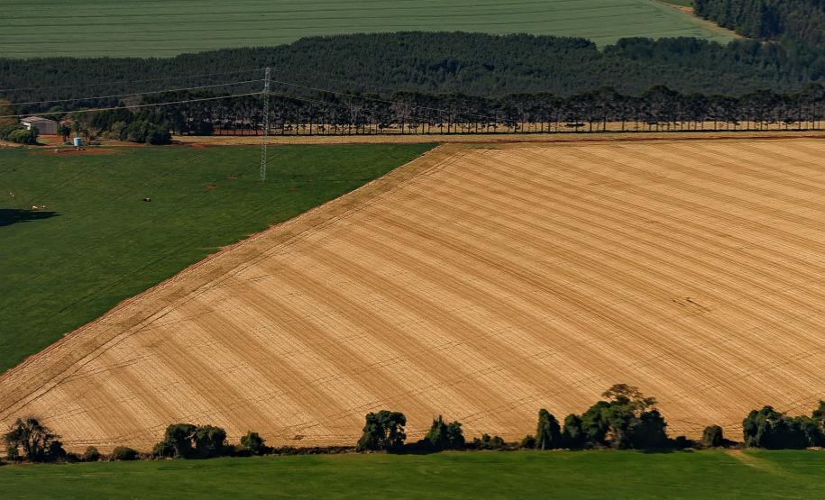 PIB do Paraná cresce acima de países da Europa no 1º semestre do ano