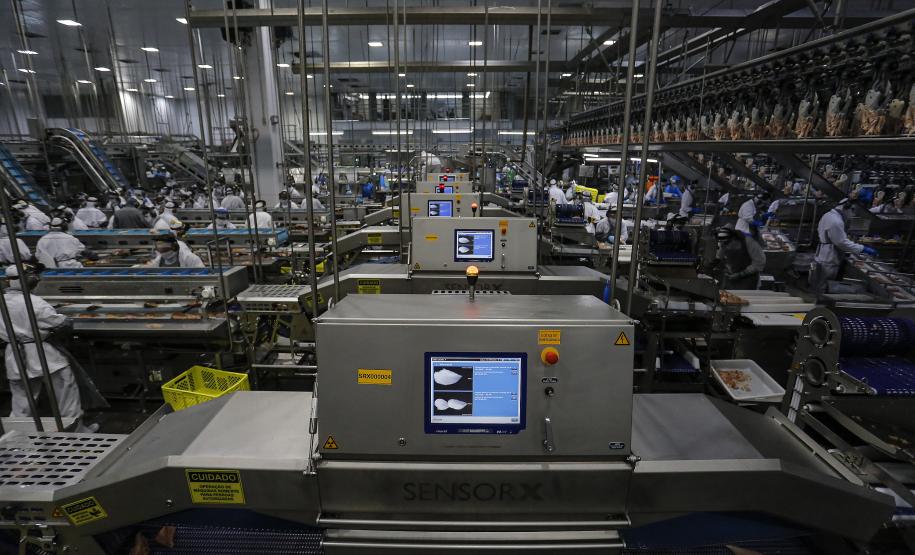 Paraná chega ao fim do ano com recorde de 26,7 mil vagas nas Agências do Trabalhador