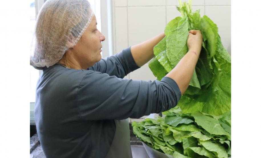 Mais de 17 mil toneladas de alimentos da agricultura familiar abastecem escolas do Paraná anualmente