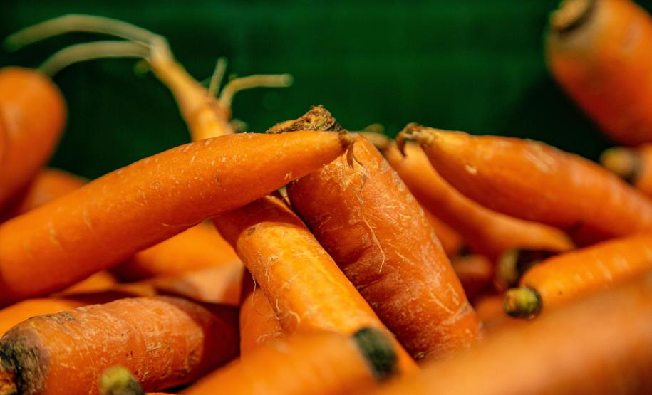 Mais de 17 mil toneladas de alimentos da agricultura familiar abastecem escolas do Paraná anualmente