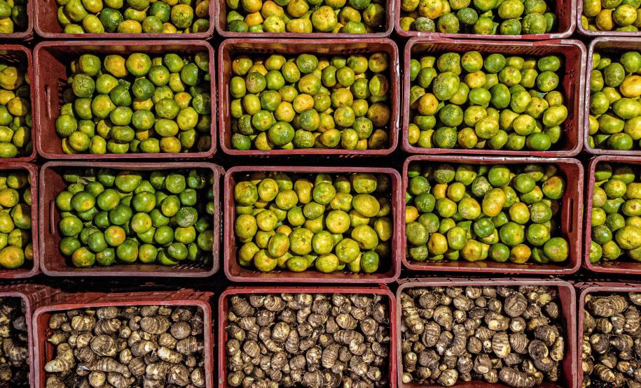 Mais de 17 mil toneladas de alimentos da agricultura familiar abastecem escolas do Paraná anualmente