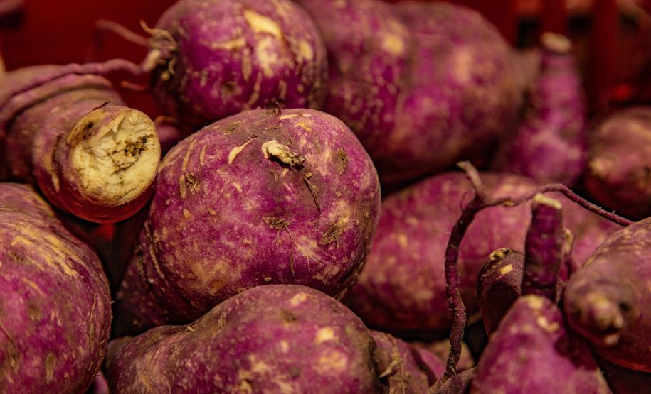 Mais de 17 mil toneladas de alimentos da agricultura familiar abastecem escolas do Paraná anualmente