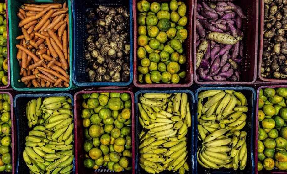 Mais de 17 mil toneladas de alimentos da agricultura familiar abastecem escolas do Paraná anualmente