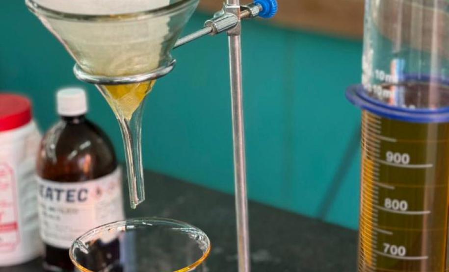 Colégio do Paraná promove protagonismo feminino na ciência com startup inovadora