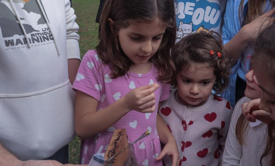 Casa Civil e SGDES promovem o evento “Casinha Civil do Futuro” com filhos de servidores e atividades sobre sustentabilidade e ODS