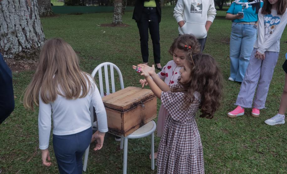 Casa Civil e SGDES promovem o evento “Casinha Civil do Futuro” com filhos de servidores e atividades sobre sustentabilidade e ODS