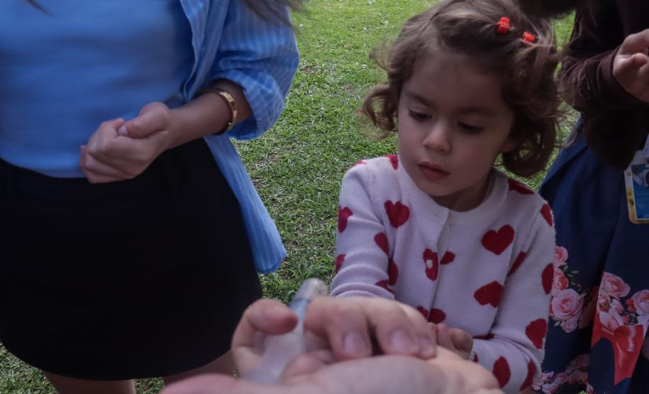 Casa Civil e SGDES promovem o evento “Casinha Civil do Futuro” com filhos de servidores e atividades sobre sustentabilidade e ODS