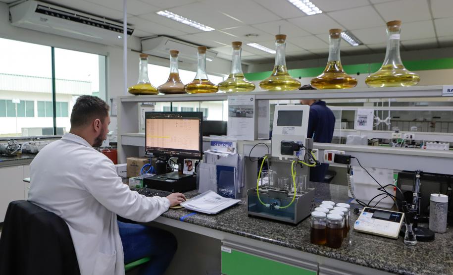 Paraná registra 3º maior saldo de empregos do Brasil de janeiro a outubro de 2025