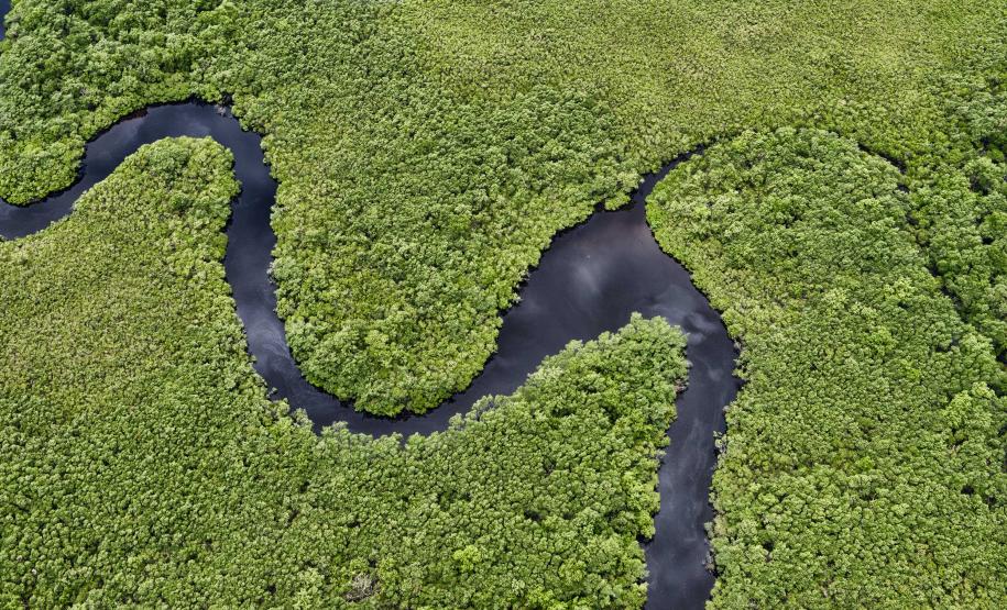 Foto: Denis Ferreira Netto/SEDEST