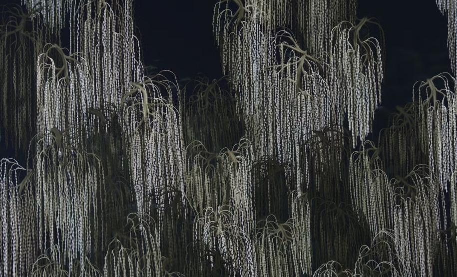 Agenda cultural tem "Quebra-Nozes", novas exposições no MIS-PR e Biblioteca cheia