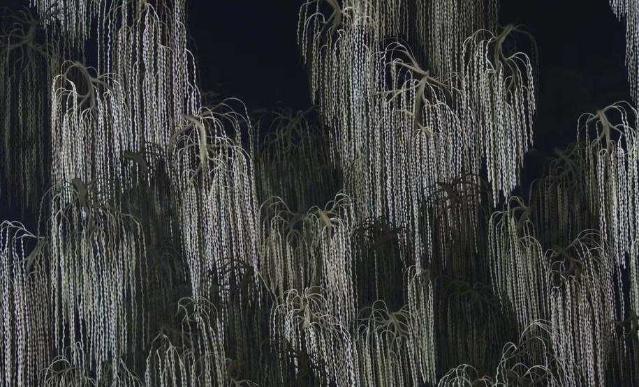 Três novidades no MON, Natal no Guaíra e estreia no MUPA estão na agenda cultural