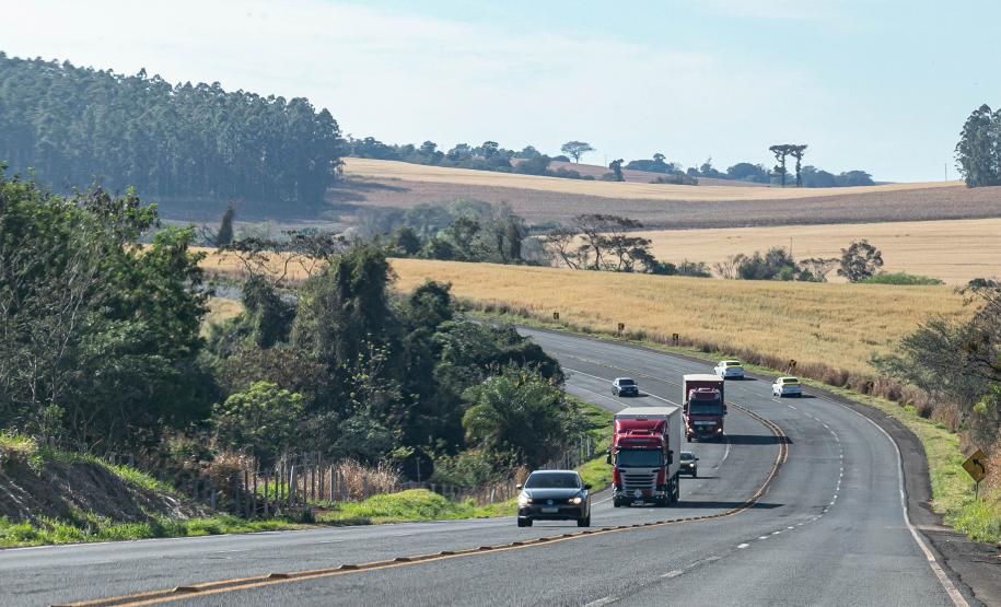 Estado mantém desconto de 6% do pagamento à vista e IPVA 2026 pode cair pela metade