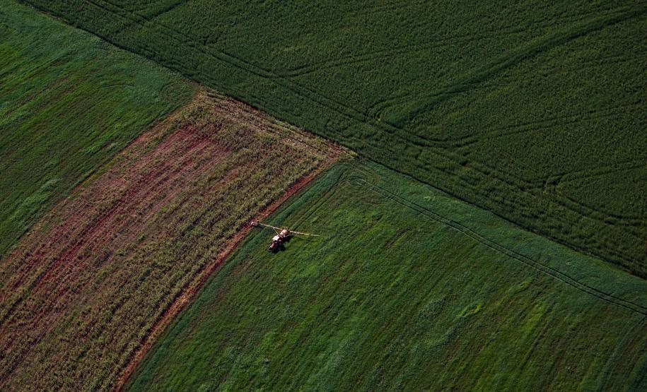 Foto: Jonathan Campos/AEN