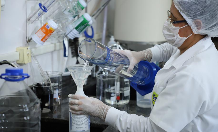 Paraná lidera contratação de mulheres e jovens na Região Sul em 2025