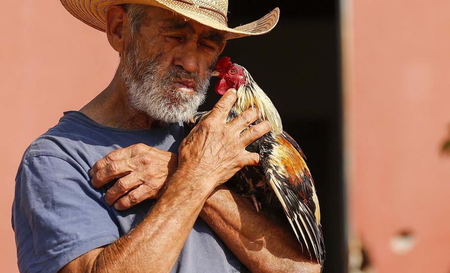 Gusttavo Lima no Verão Maior e programação de férias nos museus estão na agenda cultural