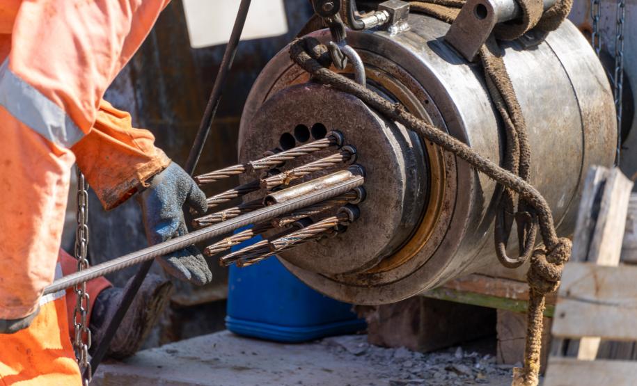 Foto: Felipe Henschel/AENFoto: Felipe Henschel/AEN