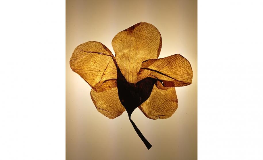 Shows do Litoral, Oficina de Música de Curitiba e ações nos museus agitam a agenda cultural