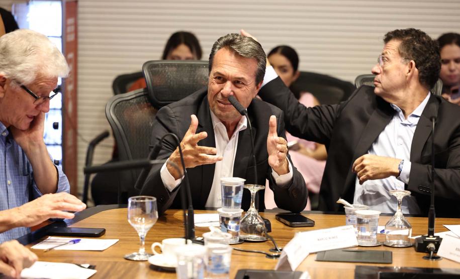 Estado e MBRF reafirmam R$ 375 milhões em investimentos para cadeia de alimentos