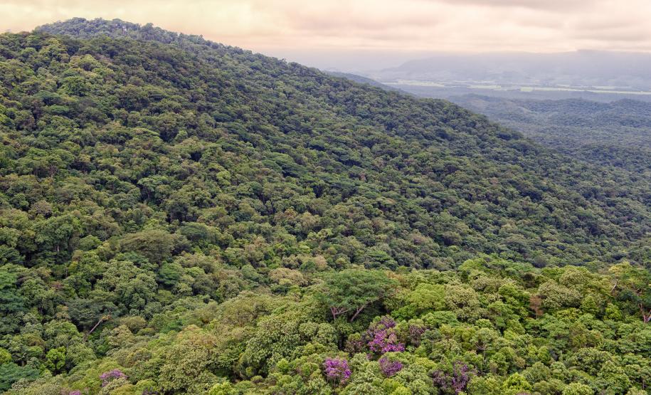 Paraná é um dos quatro estados do Brasil a contar com Plano de Ação Climática