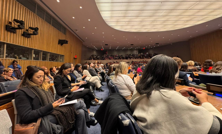 Casa Civil participa da 70ª Sessão da Comissão sobre a Situação da Mulher