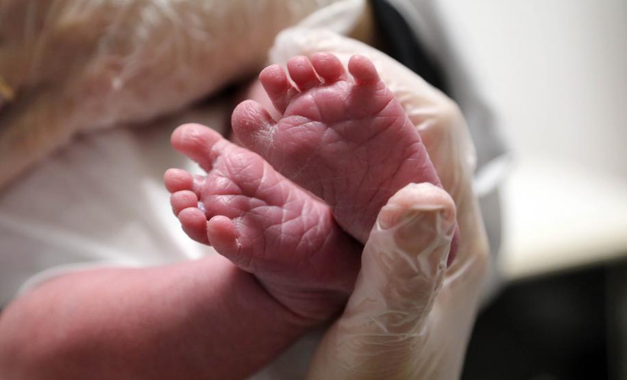 Paraná vai ampliar triagem neonatal e reforçar diagnóstico com rastreio de 51 doenças