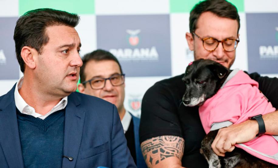 Estado fará 80 mil atendimentos em programa itinerante de consultas e vacinas para cães e gatos
