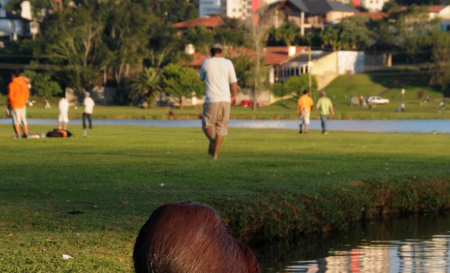 Paraná foi o terceiro portão de entrada de turistas estrangeiros em maio no país