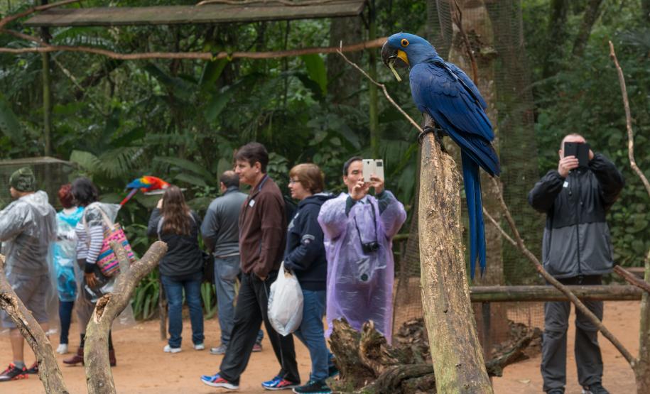 Paraná foi o terceiro portão de entrada de turistas estrangeiros em maio no país